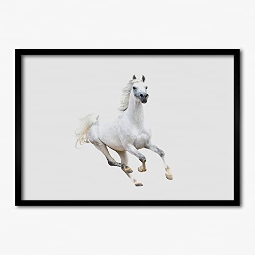 Cadre photo 70x50 cm avec affiche de cheval blanc Tulup pour tableau moderne