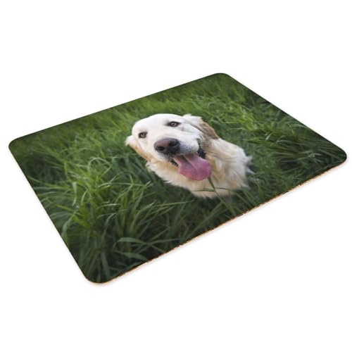 Dessous en liège grand format lot de 4 sets de table souples chien