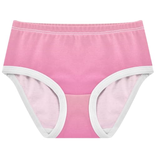 Joisal Durable Toddler Underwear Floral 2t Cotton Panties Little Girl Blush Pink Hot Gradient Underpants Briefs