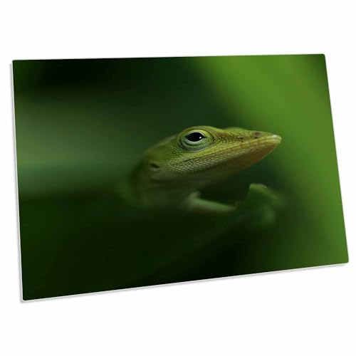 3dRose Macro Photo de un Lagarto Anole Verde Desk Pad miniatura 1