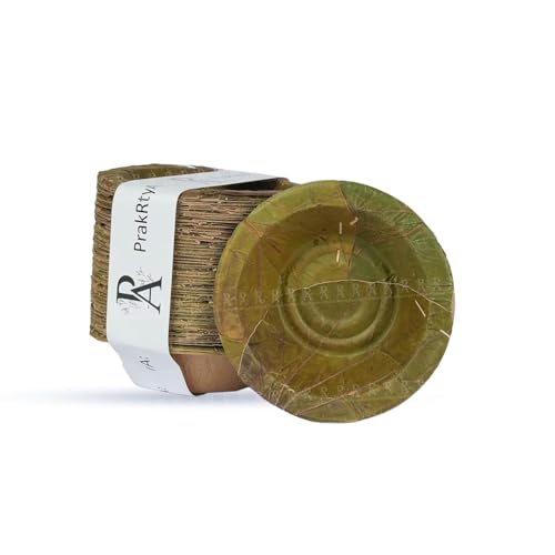 PrakRtyA: Mini Disposable Bowls 25 Pack Mini Leaf Bowls - 6 Inch | Home Compostable & Biodegradable Bowls for Parties - Bowl for Soup, Hot & Cold Food - Sal Leaf (Green-25Pcs)