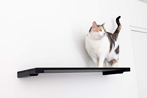 Estante para gato montado en pared 34 pulgadas miniatura 4