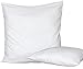 Set 4 Pezzi Anima Imbottitura anallergica per Cuscini Divano, Poltrona, Letto da Rivestire in Tre Misure (45 x 45)