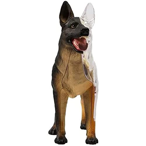 Haoding 240316 4D Dog Anatomy Model With Detachable Biology, Anatomical Model, 29 Parts For Animal Teaching Demonstration And Veterinary Training thumb #1