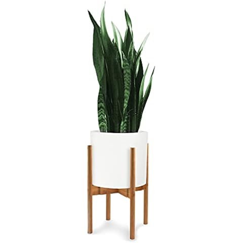 Fox & Fern Bundle - Plant Stand and Plant Pot, Bamboo Plant Holder and Matte White Flower Pot, Adjustable Width 8" to 12" Plant Stand Indoor and Polystone 12 Inch Planter with Drainage Plug Cover