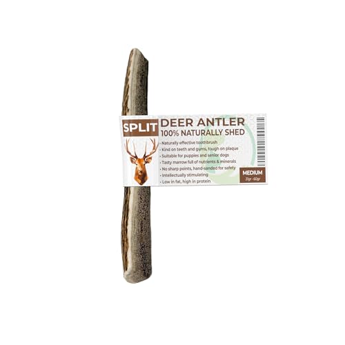 Primary Pets Premium Pet Supplies SPLIT Antlers for Dogs Size Medium, Naturally Shed, Sustainable