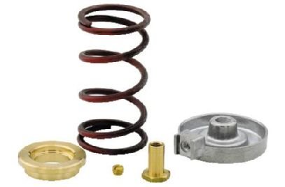 4 To 8 Psi Spring Kit For 1 & 1 1/4in V