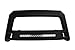 Lund 86521205 Revolution Bull Bar with Integrated LED Light Bar, Black Steel for 2010-2019 Dodge Ram 2500/3500