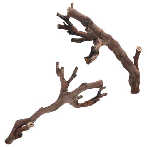 Gadpiparty 2pcs Natural Wood Reptile Enclosure Accessory with Sturdy Smooth Safety Surface, Climbing Branch for Snake and Lizard Tank Decorations in Vivariums