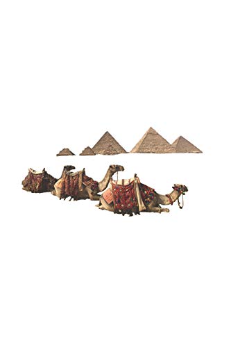 Ägypten - Kamel, Kamele Pyramids Urlaub Reise Kairo Notizbuch, Notizblock, 120 Seiten, Souvenir Geschenk Buch, auch als Dekoration geeignet zum Geburtstag (German Edition)