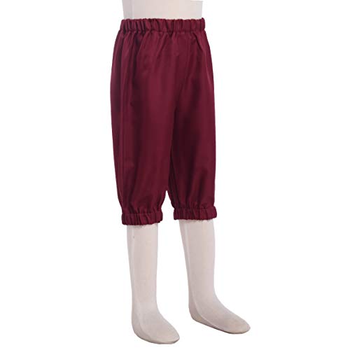 Bpurb Boys Colonial Costume 18Th Century Colonial Boys Costume Boys Colonial Pants Boys Knicker Pants Size 7 8 10 12 14 16 (Wine, 7) #TOP4