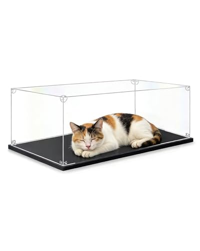 Urna Metacrilato Vitrina Ancha y Baja Apilable, Cajas de Acrílico Transparente con Base Madera, Soporte Bandejas Almacenamiento para Figuras Acción, Artefactos(60x25x30cm/24x10x12in)