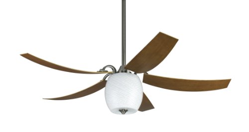 Fanimation Fp7930pww-220 Mariano 5 lames ventilateur de plafond en étain,/cerise Cover