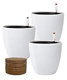 7'' Self Watering Flower Pot with Coir & Foam Stone & Water Level Indicator Easy Modern Decorative...