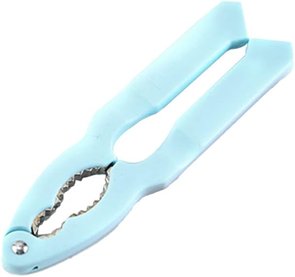 CamKing 頑丈なナットクランプ アクセサリキット ファミリーパーティー 