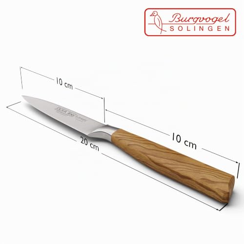 Foto von Burgvogel Solingen Spickmesser 10 cm geschmiedet Olivenholz, Oliva Line, rostfrei, deutsches Officemesser, hell, scharf, Braun Beige, 10 cm Spickmesser, 6910.926.10.0