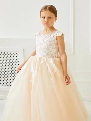 Lace Applique Tulle Flower Girl Dress for Wedding Kids Birthday Pageant Dress Bowknot Princess Prom Ball Gowns4