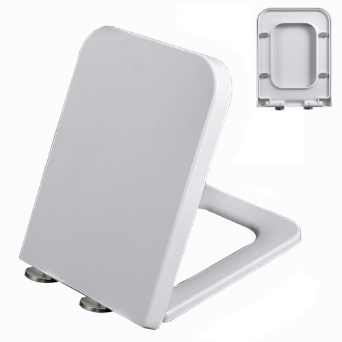 \tgN[Y֍ XNGA Wt PP zCg K ϋv 