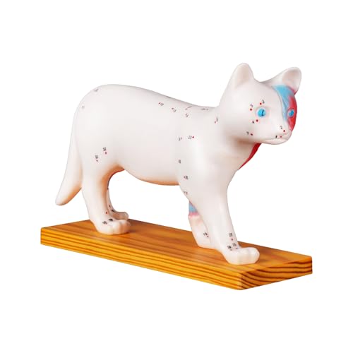 Simedutech Cat Anatomy Model with Acupuncture Points - Veterinary Teaching Tool, Detailed PVC Organ Model for Acupuncture, Moxibustion & Vet Training