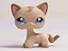 Lapps Pet Brown Short Hair Cat Kitty Blue Eyes Toy #1024