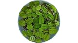 Floating Fern, Salvinia natans, Live Aquarium/Aquatic/Floating/Pond Plant, Planted Tank, Aquascaping by Aquarium Plant Center (1 Portion)
