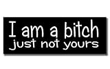 AK Wall Art I Am a Bitch Funny Vinyl Sticker - Car Phone Helmet - Select Size