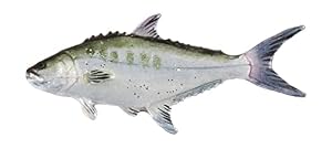 Creative Pewter Designs Creative Pewter Designs Anstecknadel Queen Fish S072 Creative Pewter Designs Creative Pewter Designs Anstecknadel Queen Fish S072