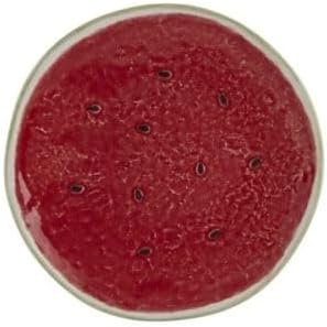 Bordallo Pinheiro Watermelon Charger Plate,Set of 2,65021711