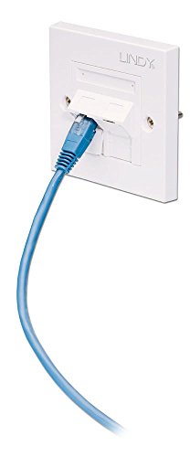 Lindy - Piastra Singola Da Parete Cat5E Con Presa 2X RJ-45 - 2