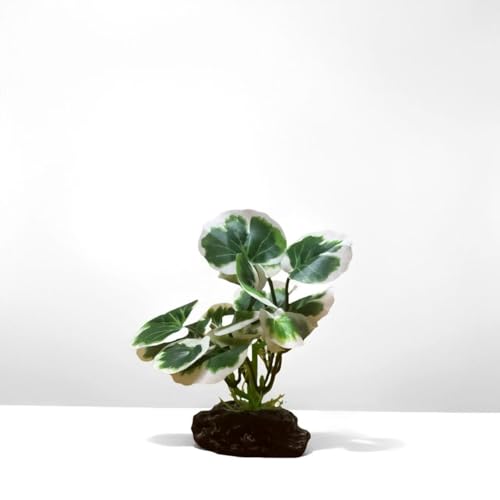 Image of JGbaby Artificial Aquarium Plants,Fish Tank Decorations Betta Leaf Hammock 4in Realistic Silk & Plastic Plants, Hideout Decor for Betta. Goldfish,Reptiles,Small Tanks (Green Type-E)
