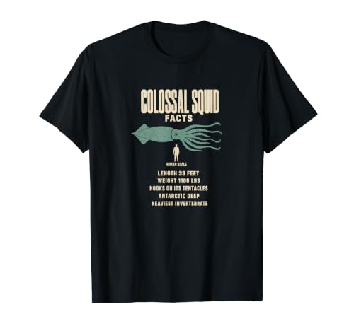 Colossal Squid �t�@�N�g �����L�^ �T�C�Y��r T�V���c