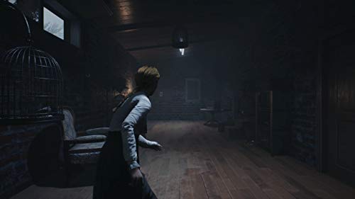 Remothered: Broken Porcelain (Ps4) - Playstation 4 #TOP1