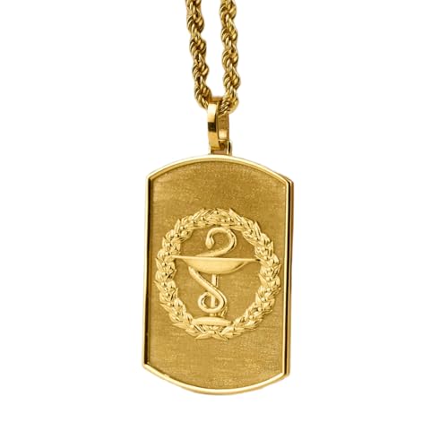Collar de plata de ley 925 de 30 x 19 mm | Cadena de 45 cm | Colgante con placa de identificación de farmacéutico | Placa de identificación de profesional sanitario de cuerda | Chapado en oro | 00496