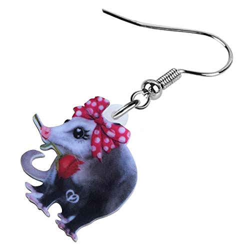 DUOWEI Acrylic Funny Possum Earrings Opossum Dangle Jewelry for Women Accessories Gifts Charms4