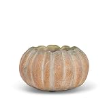 Abbott Collection Small Low Cement Pumpkin Indoor and Outdoor Planter Pot (5.5" W, 3.5" Opening)