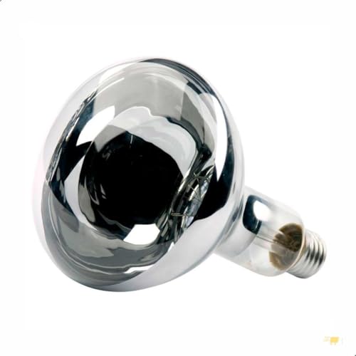 3 Lâmpadas De Secagem Infravermelha Estufa 250w 220v E-27