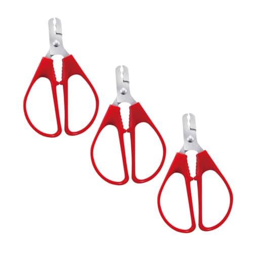 DECORNIJIA 3 ֗ȃXeXibcI[vi[ y͂Ŋ郁 Ђ܂̎pibgvC[ ݌v gRpNgk