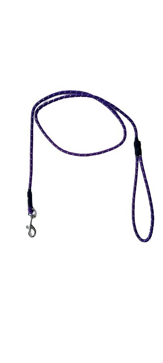 Amazon Brand - Umi Training Leash/Rope with Strong Hook Silving Cover for Dogs (Purple, Size 12 mm) (B09V7LTL72) Amazon Price History, Amazon Price Tracker