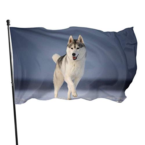 WHIOFE Dog Breed Siberian Husky Decorative House Flag Pole Decorative Garden Flag Holder 3x5 Feet Vibrant Colors Quality Polyester and Brass Grommets