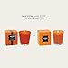 NEST New York Scented Classic Candle, Pumpkin Chai - 8.1 oz - Up to 60-Hour Burn Time - Reusable Glass Vessel
