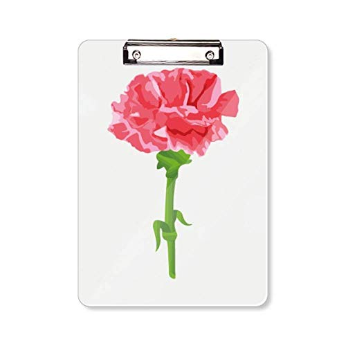 Plante à fleurs œillets A4 - Impression d'art haut de gamme au dessin raffiné
