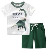 IjnUhb Conjunto de camiseta e shorts de manga curta de algodão com desenho animado para meninos de 2 a 7 anos, Dinossauro branco-verde, 24 Meses