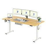 FLEXISPOT Escritorio Elevable Eléctrico 200x80cm, Mesa Escritorio Elevable, Standing Desk Regulable con Memoria, Sistema Anticolisión, Carga 100KG, Mesa Oficina para Casa, Teletrabajo y Gaming, Arce