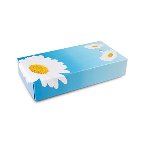 Funny Kosmetikboxen 2 lagig 100 Tücher per Box hochweiß, 10er Pack (10 x 100 Stck) Cover