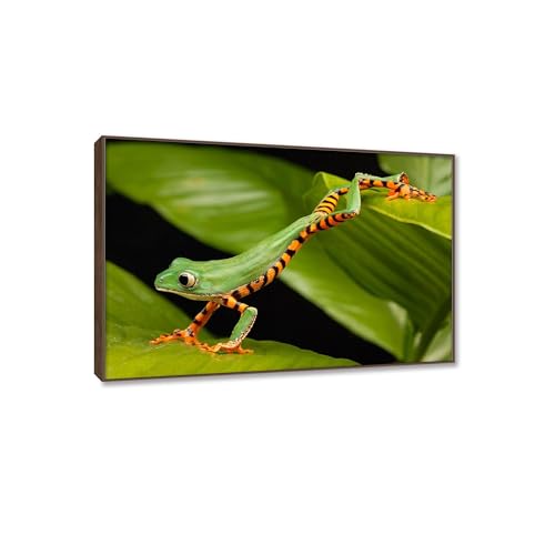 Tableaux-animaux abstraits pour habiller un mur vide avec un cadre teck compact