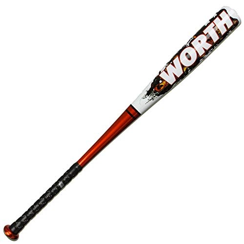 InDepth Worth Baseball Bats Reviews