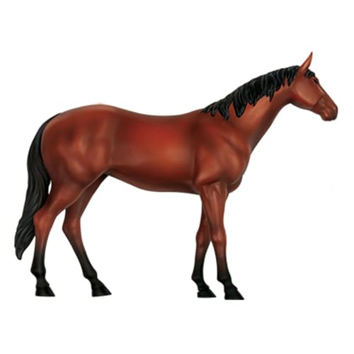 Soreci 20972 4D Horse Anatomy Model - Animal Skeleton Specimen thumb #3