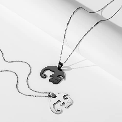 Collares para parejas de gatos en acero inoxidable y amazonita 5