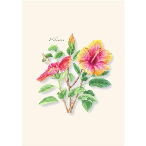 Image of Earth Sky + Water - Hibiscus Notecard Set - 8 Blank Cards with Envelopes