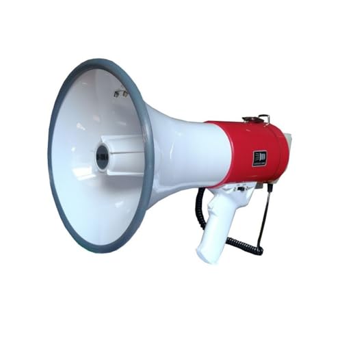 taefyiasz TT20251113-03 (Xs[J[{`Edr 1 Zbg) [sAi]